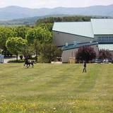 Virginia Horse Center