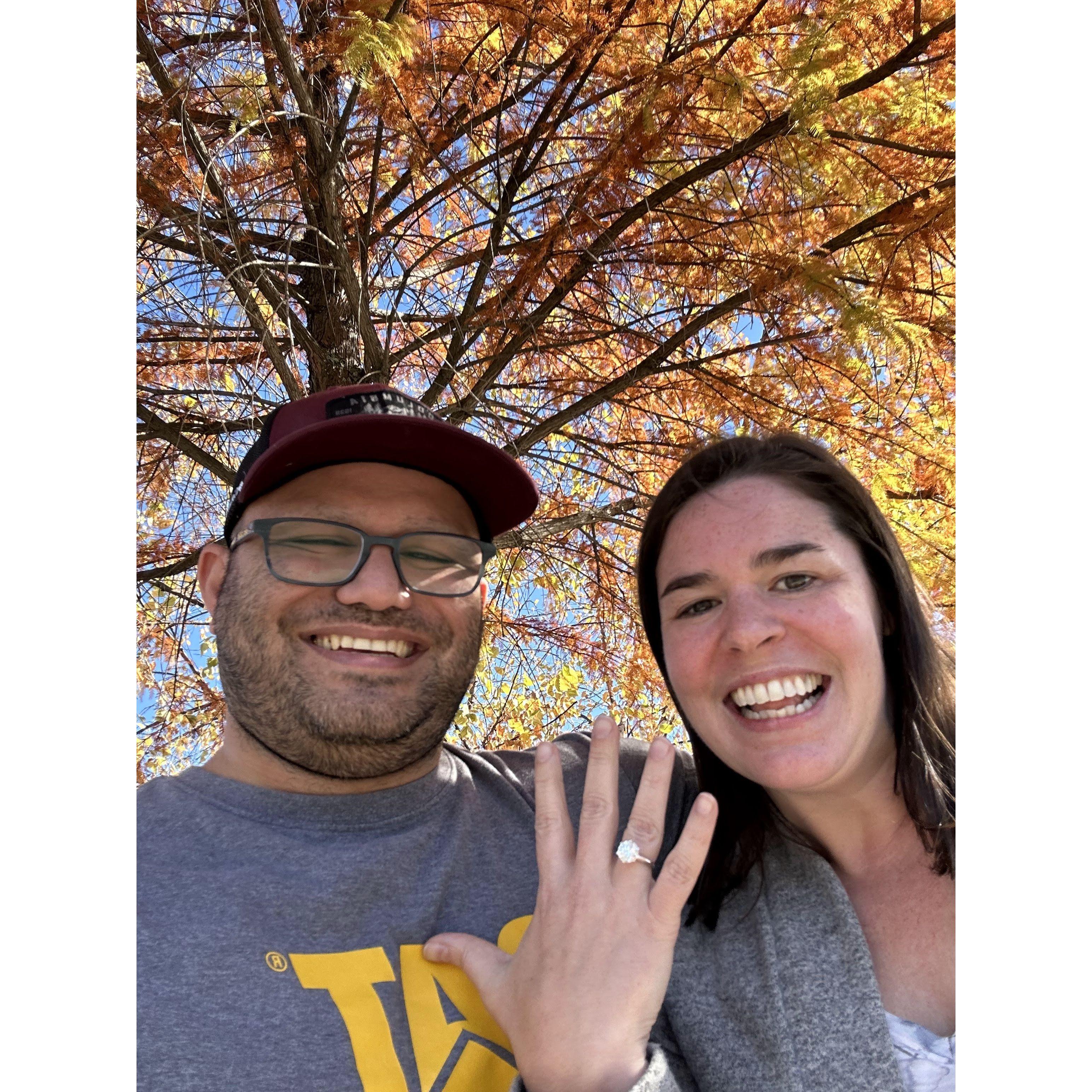 Sep proposed on the way home from a beautiful fall camping trip in Maryland!