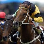 Batavia Downs Race Track