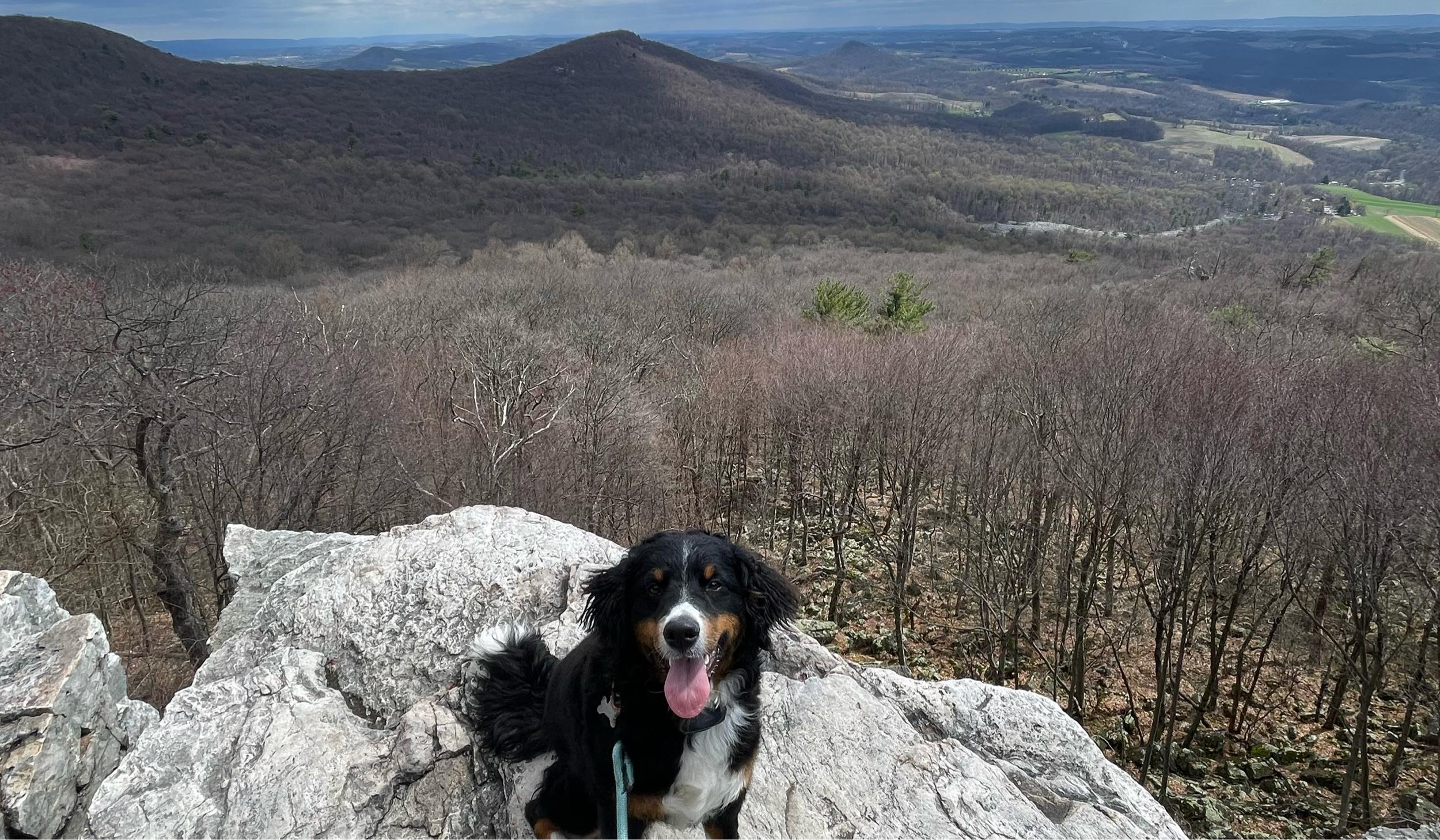 The Wedding Website of Madison Bruder and Hunter Jones