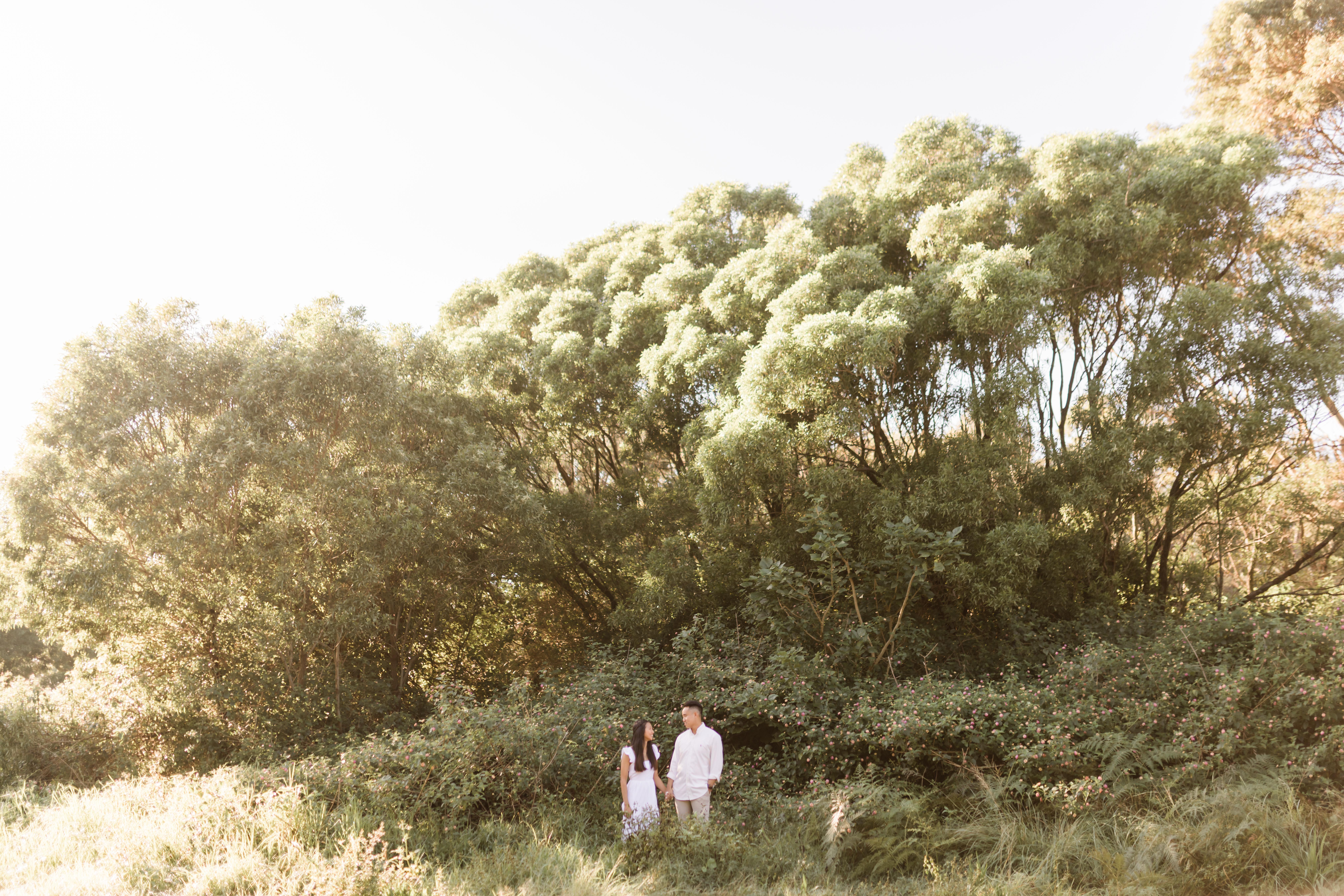 The Wedding Website of Justin Zhong and Phoebe Wong