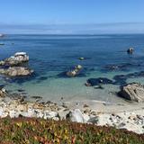 Pacific Grove
