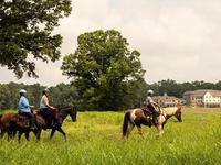 Horseback Riding