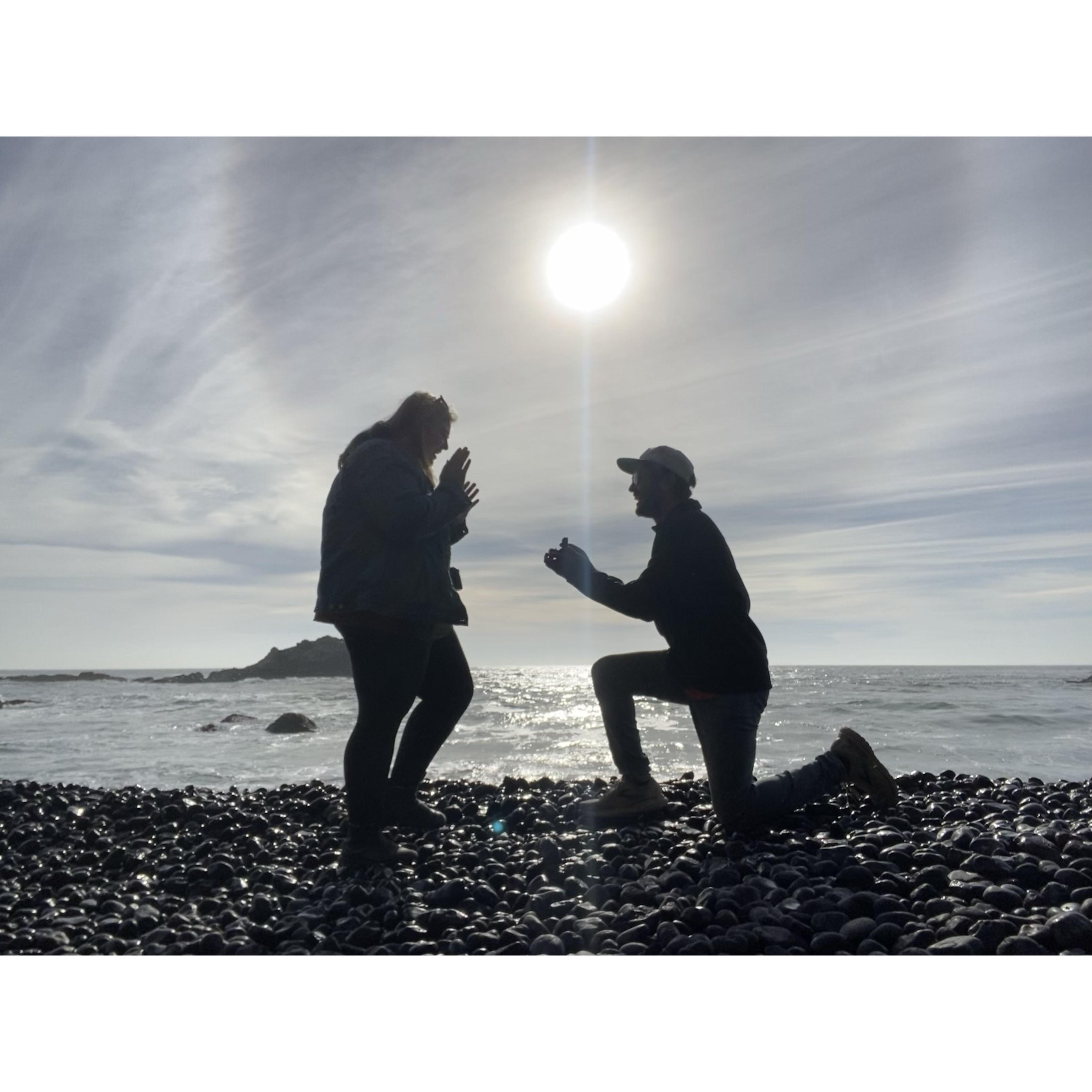 The proposal!