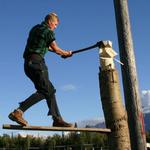 Scheers Lumberjack Shows