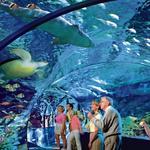 Ripley's Aquarium of the Smokies