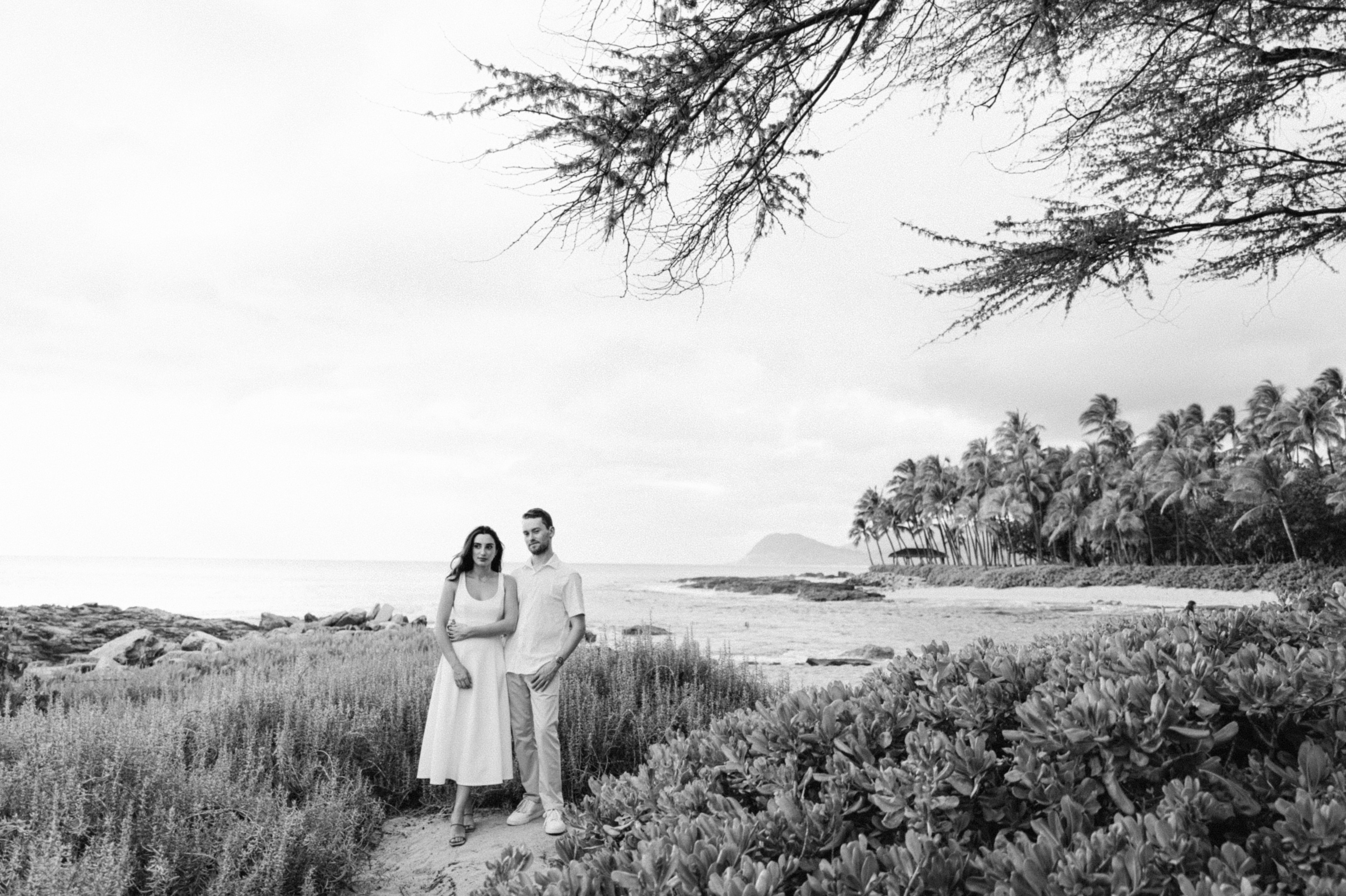 The Wedding Website of Stephanie McClean and Mitchell Loofburrow