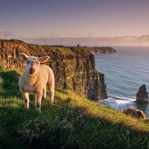 Honeymoon in Ireland