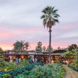Flora Farms