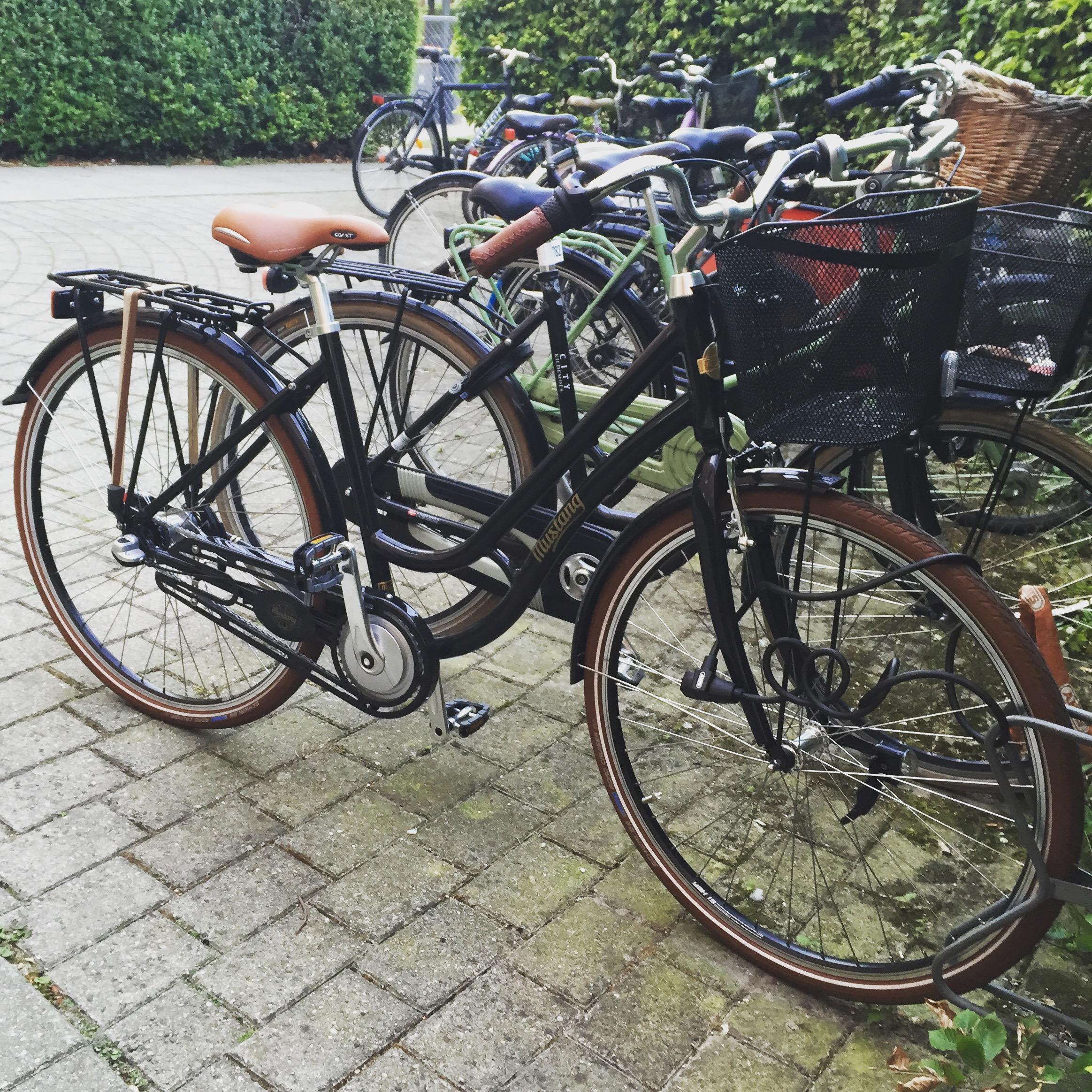 Kristin's BIG Move to Denmark
& her new means of Transport