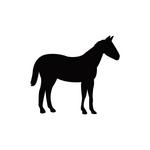 Horseback Riding