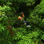 Canopy Zip Lining