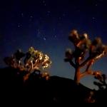 Joshua Tree National Park