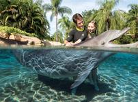 Discovery Cove