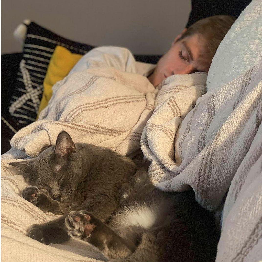 ev napping with bing (classic)