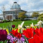 Lewis Ginter Botanical Garden