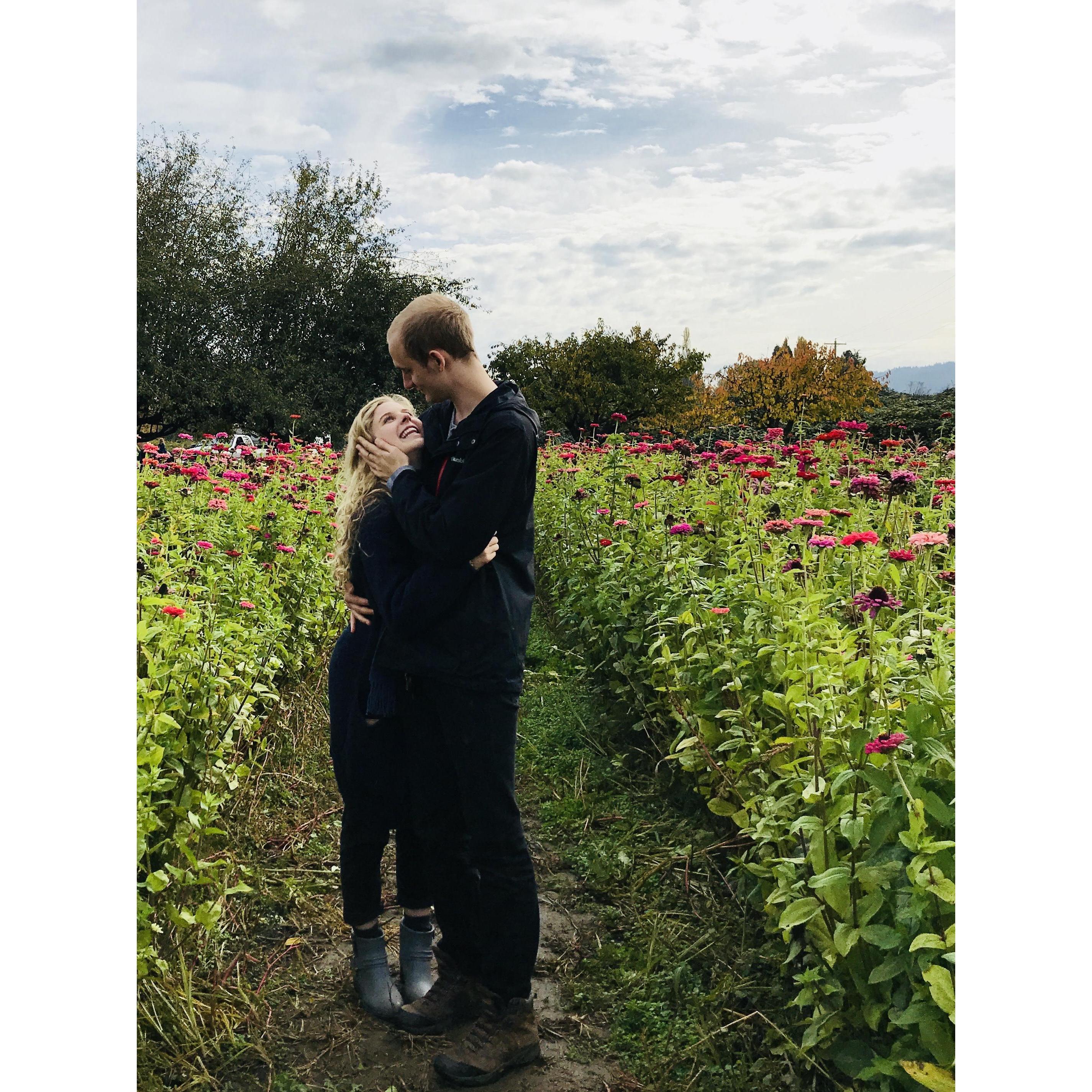 Pumpkin Patch 2019 Fall