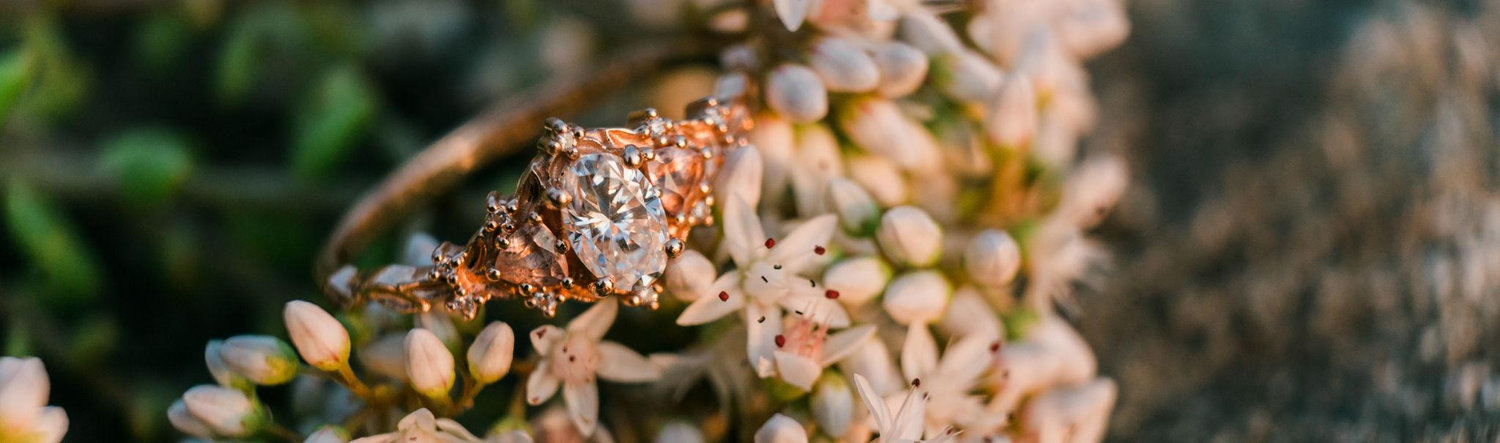 The Wedding Website of Shannon MacFarlane and Jesse Heinz