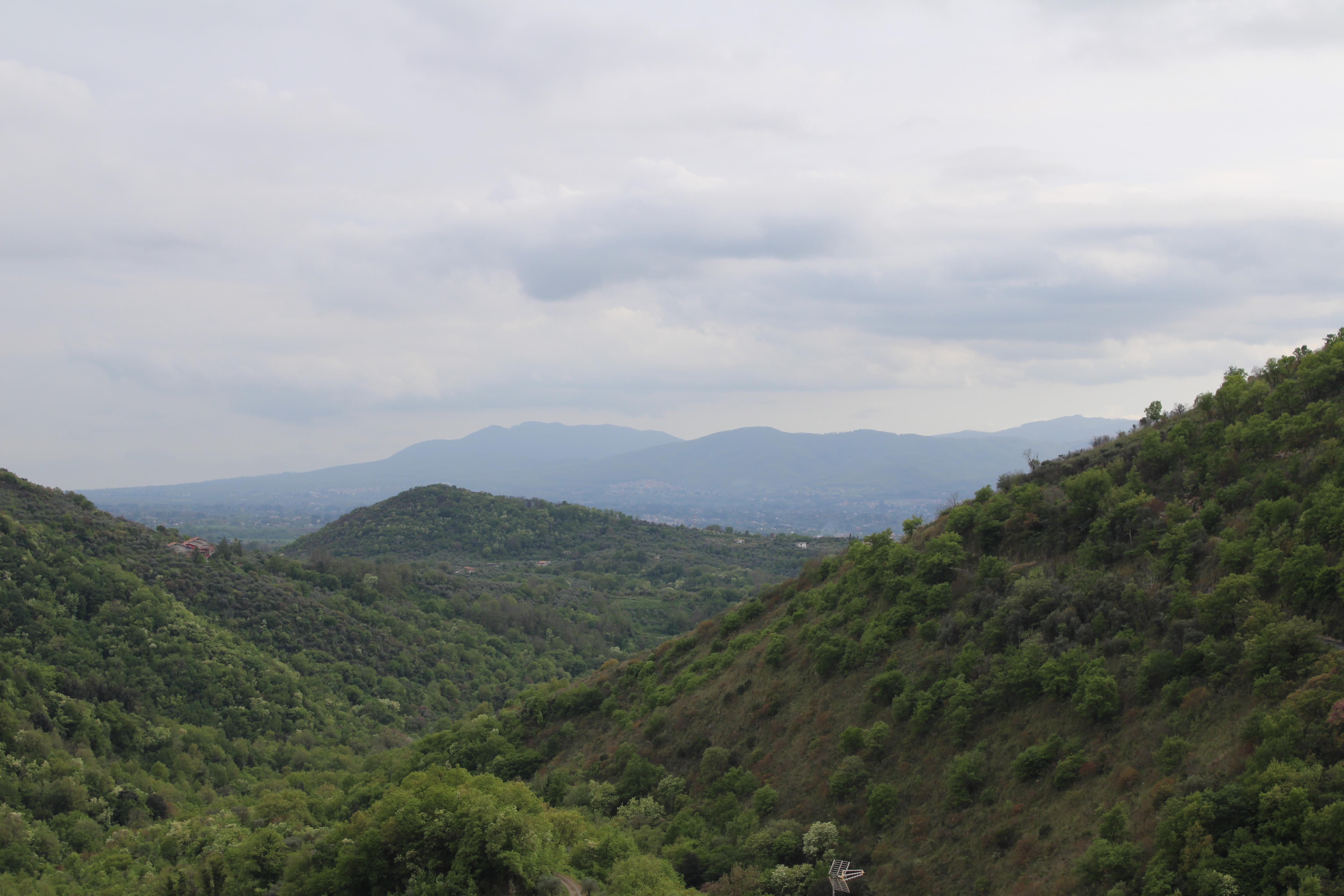 The Wedding Website of Giselle Arthur and Tarin Williams