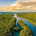Everglades National Park