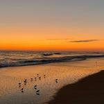 Jetty Park Beach