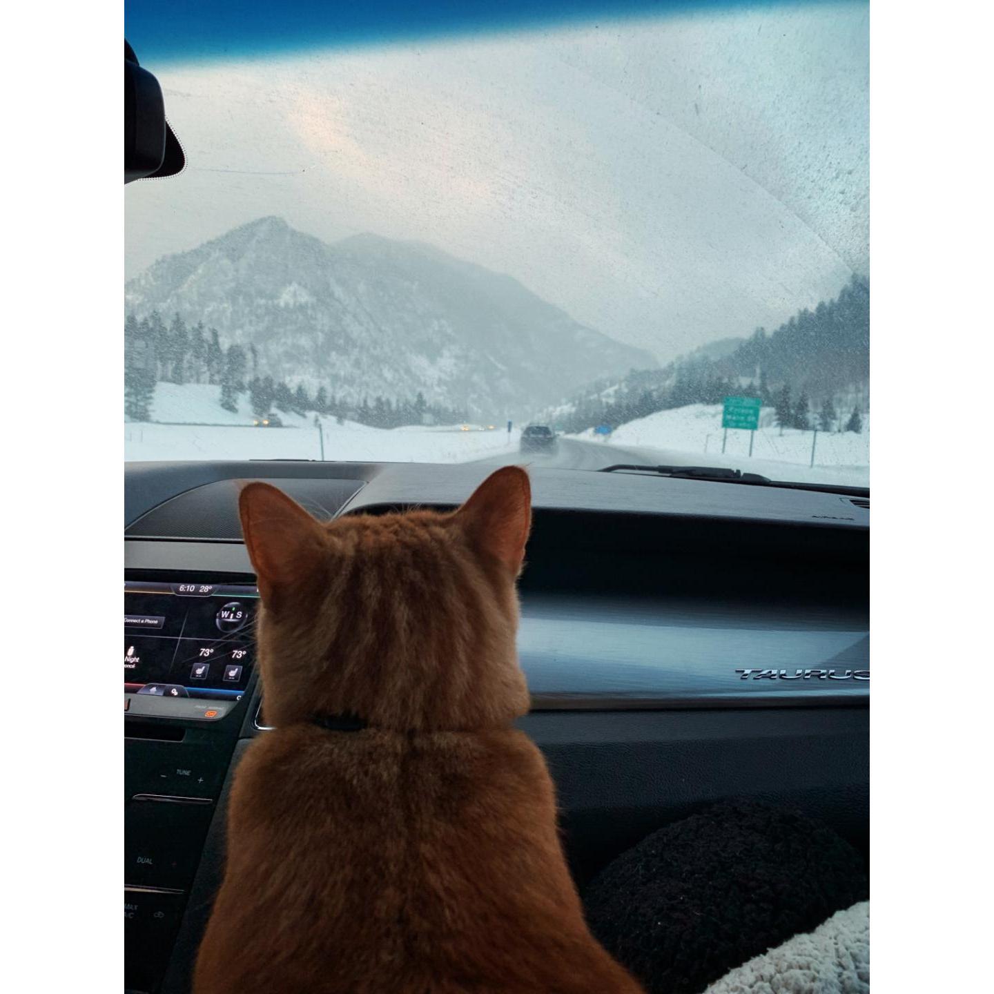 His first time seeing the mountains.