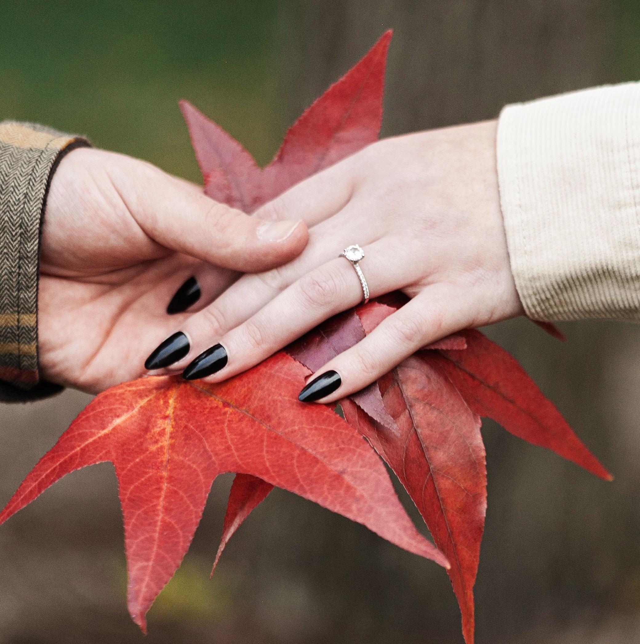 The Wedding Website of Olivia Hartman and Nicholas LaChapelle