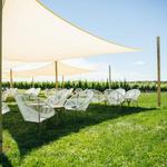 Rose Hill Vineyards & Inn
