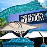 The Florida Aquarium