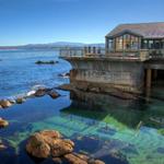 Monterey Bay Aquarium