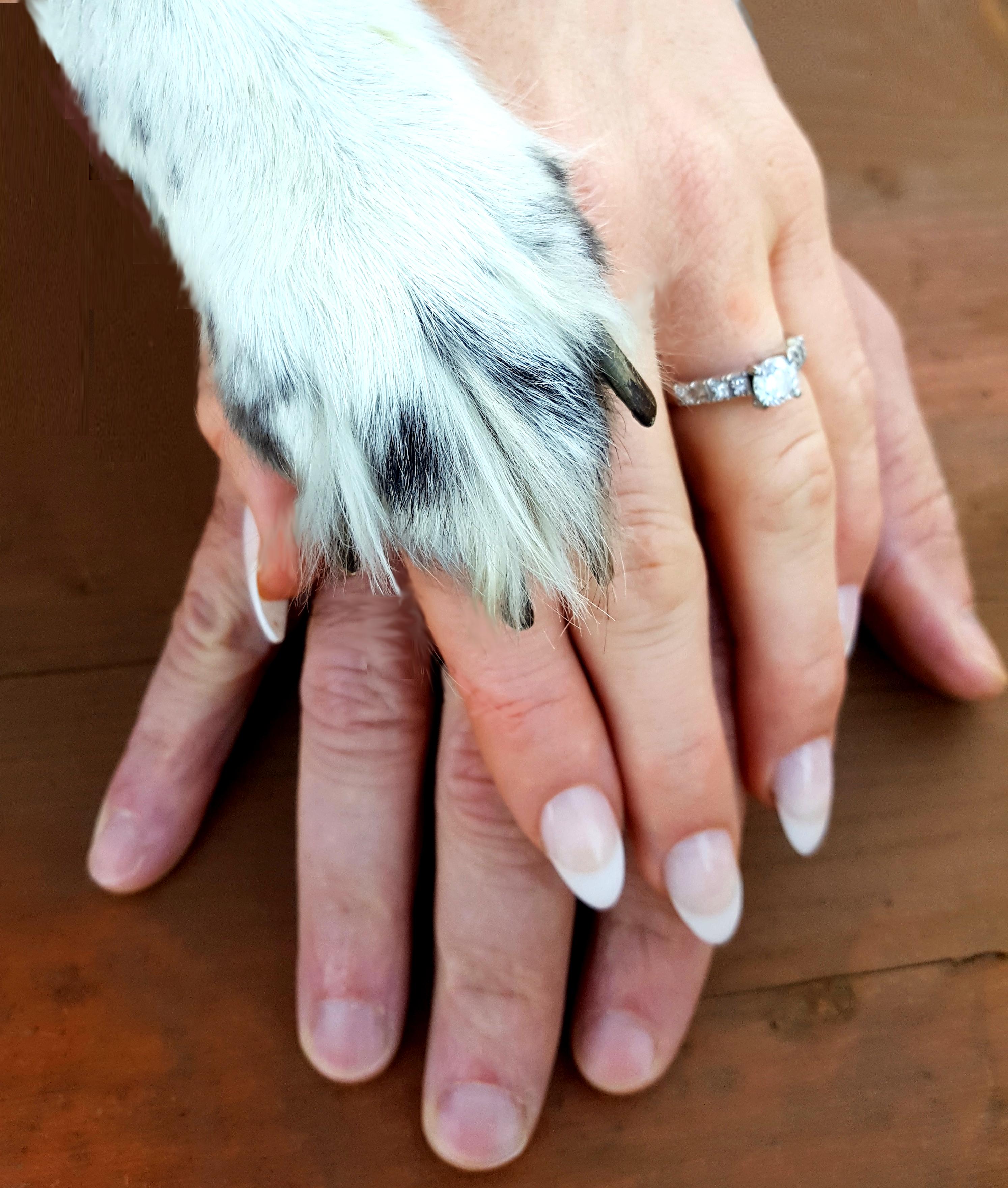 The Wedding Website of Mandy Hawley and Alex Wagner