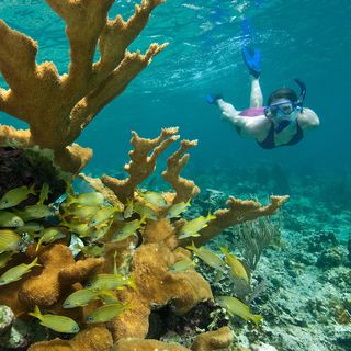 Mangrove Best of Kayak, Hike & Snorkel for 2