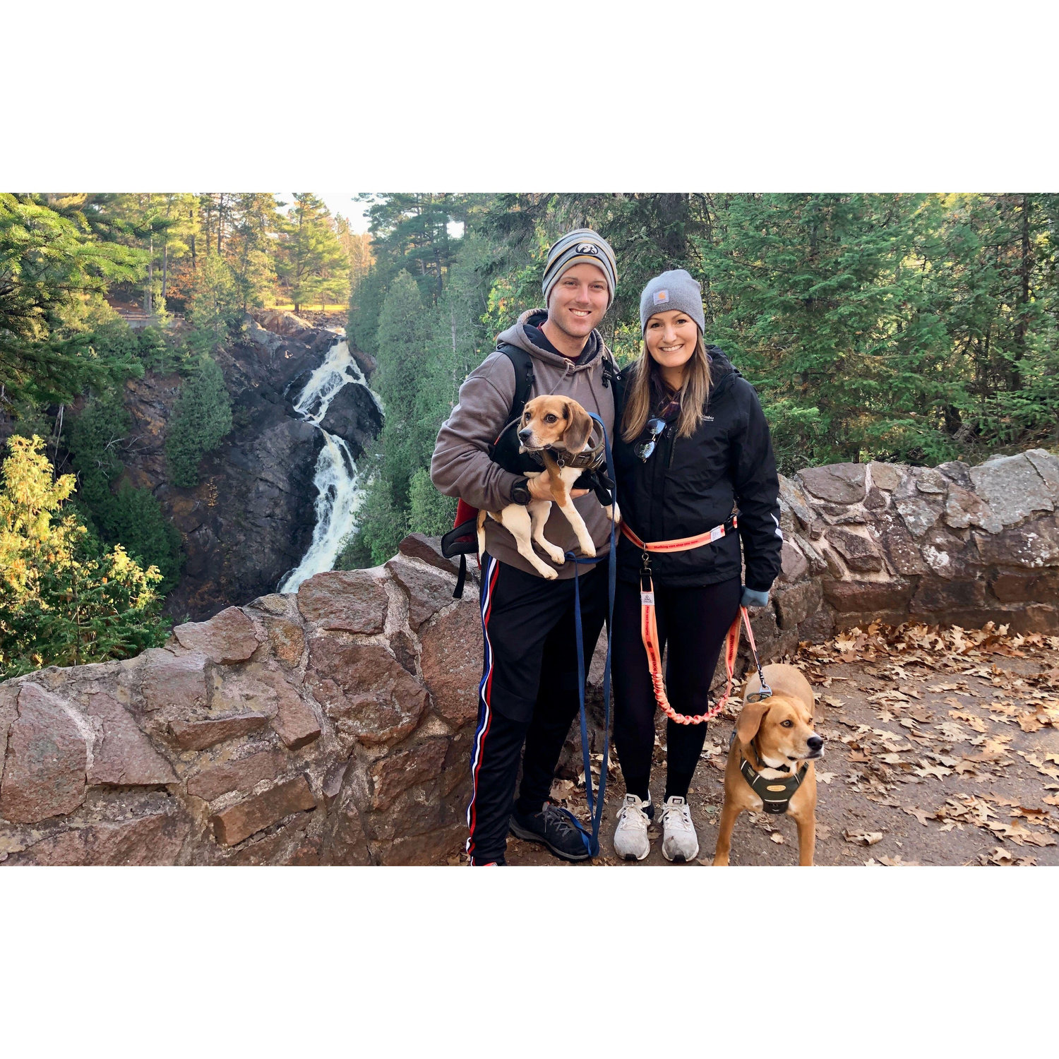 First big hike with the dogs together