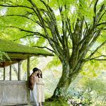 Hakuryu-en Garden