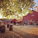 Hacklebarney Farms Cider Mill