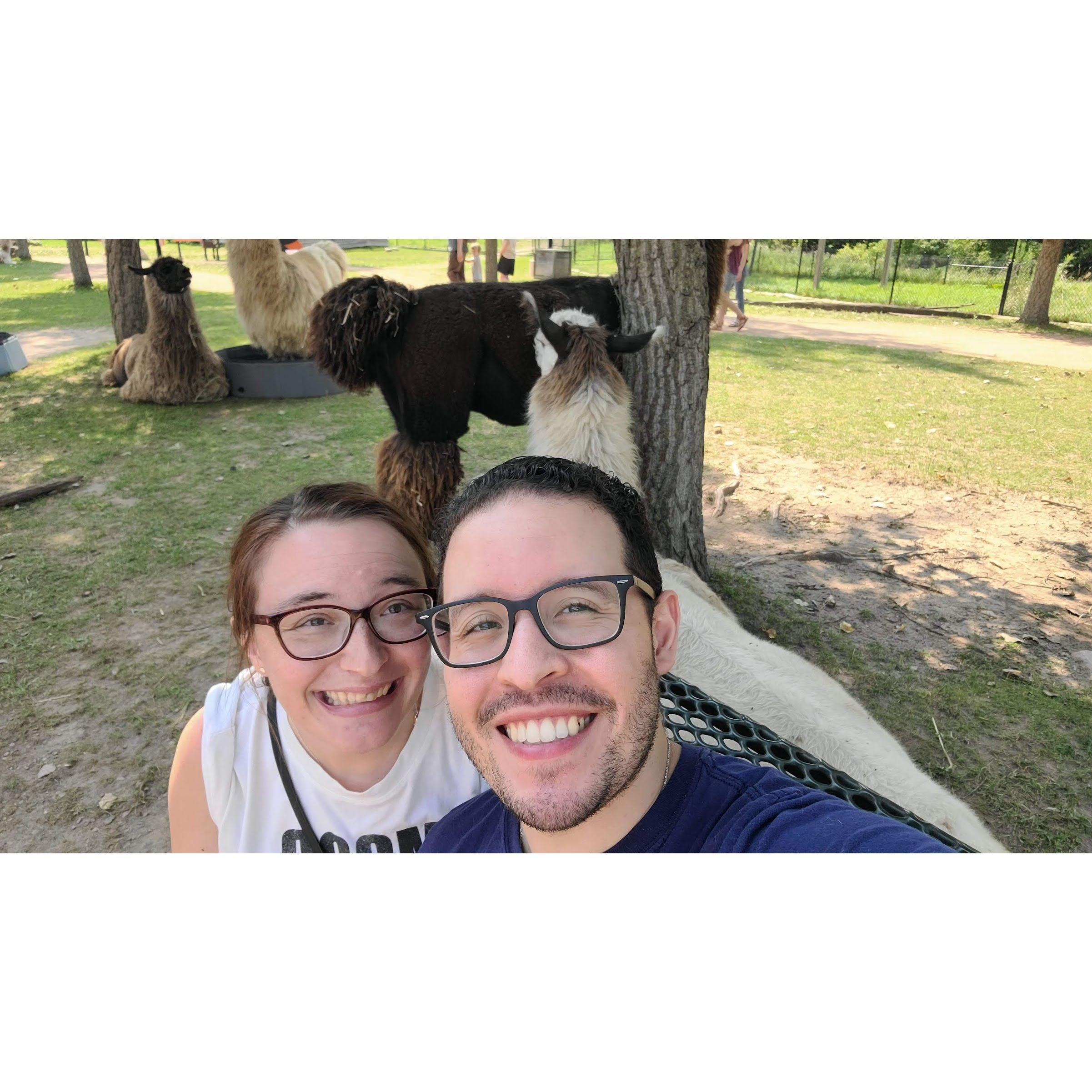 Selfie in front of some very patient llamas