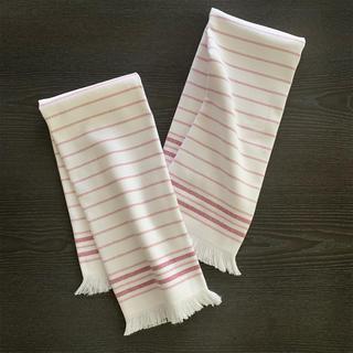 Turkish Cotton Striped Dishtowels, Set of 2