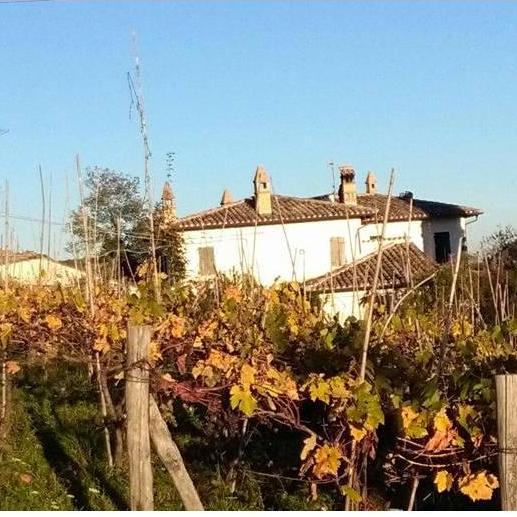 Villa Fabiani-Pignoloni
