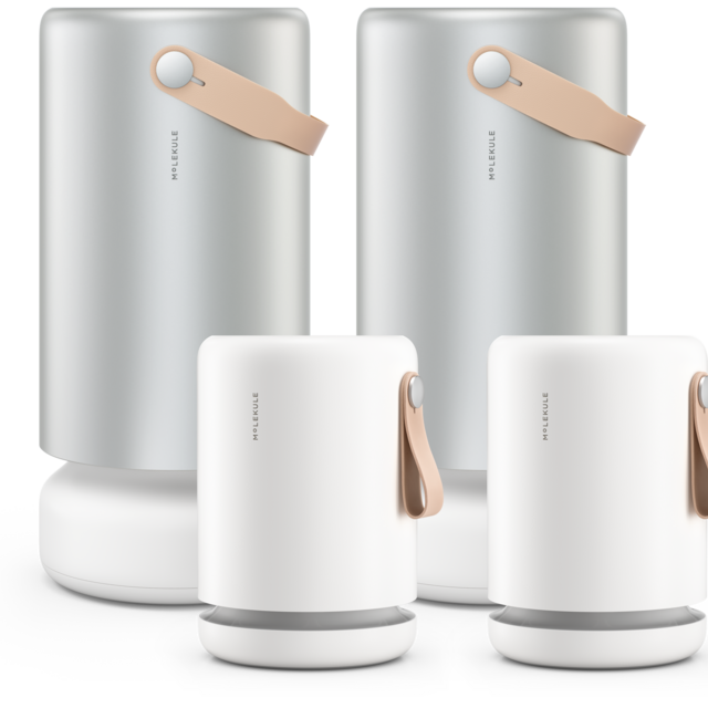 Molekule Air Mini +