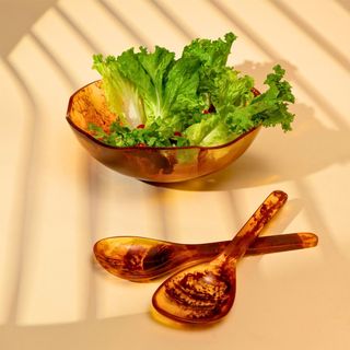 Aurora Tortise Shell Resin Scalloped Bowl