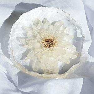 Bridal Flower Preservation (Coasters)