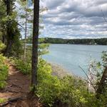 Devil's Back Trail Area