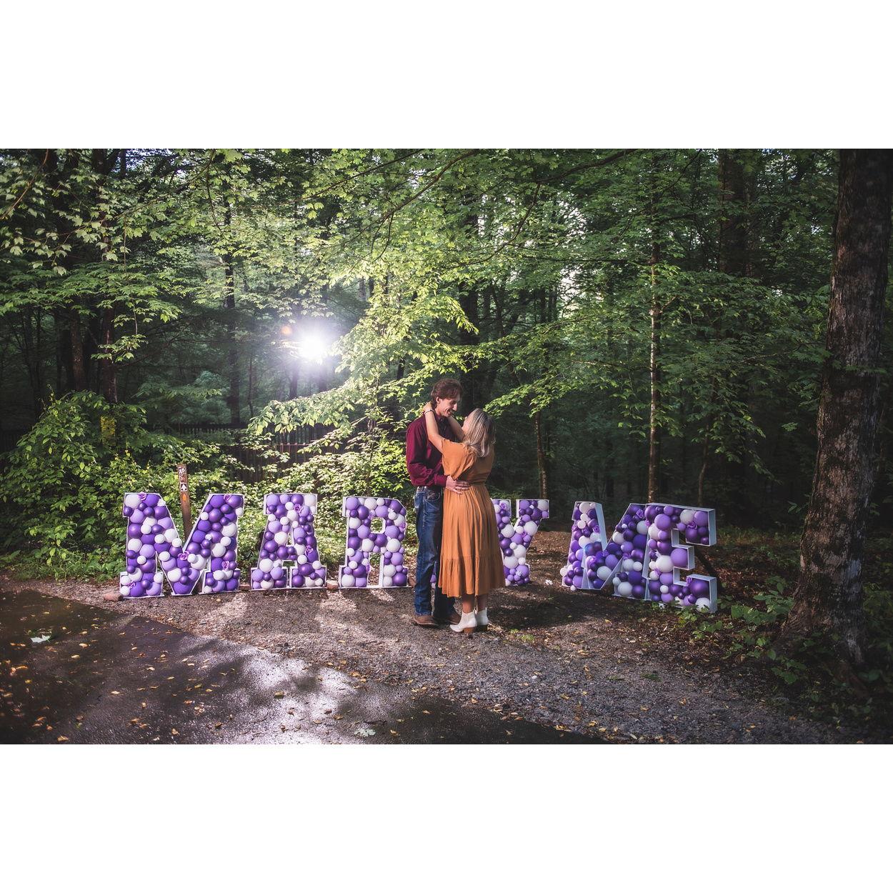 The proposal