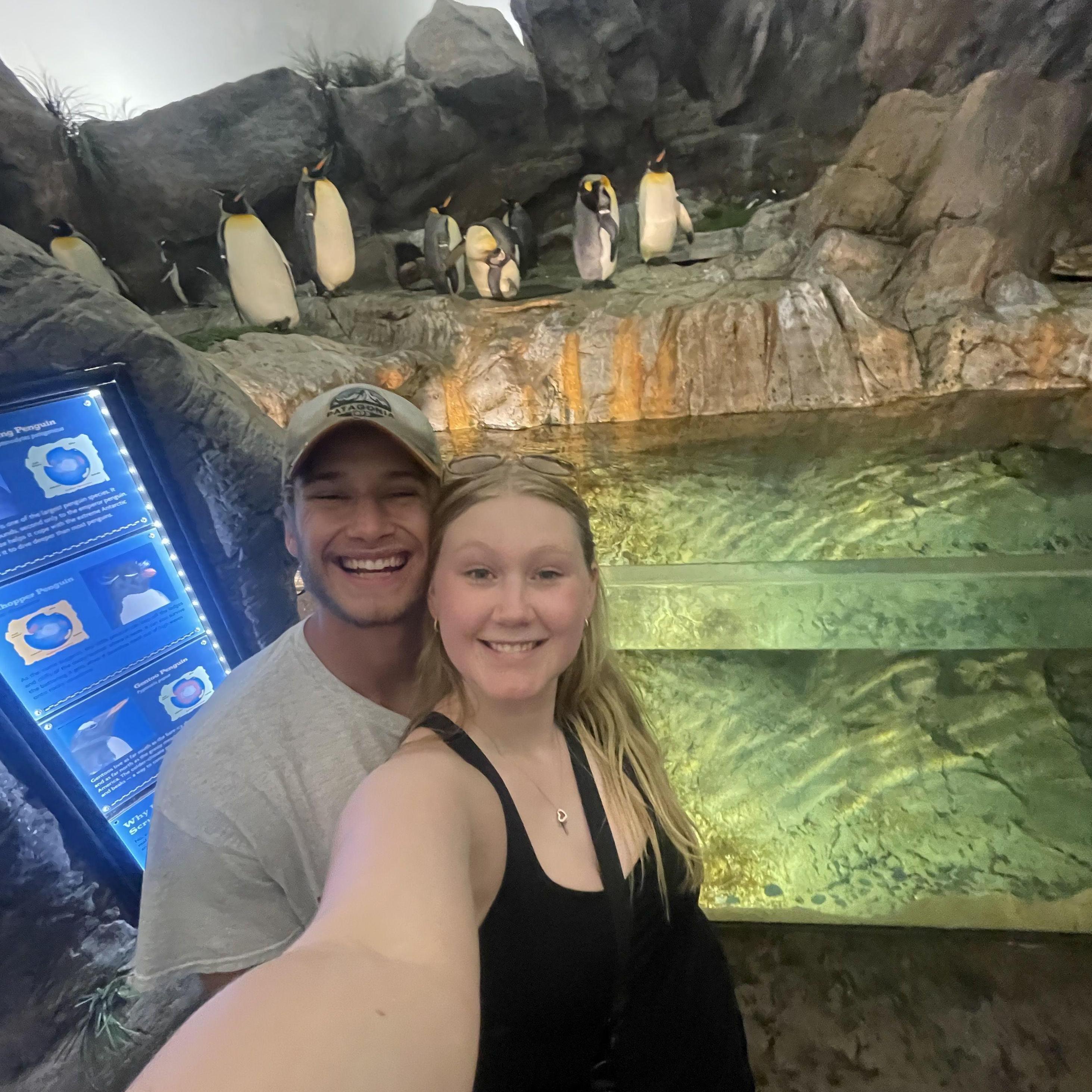 St. Louis Zoo