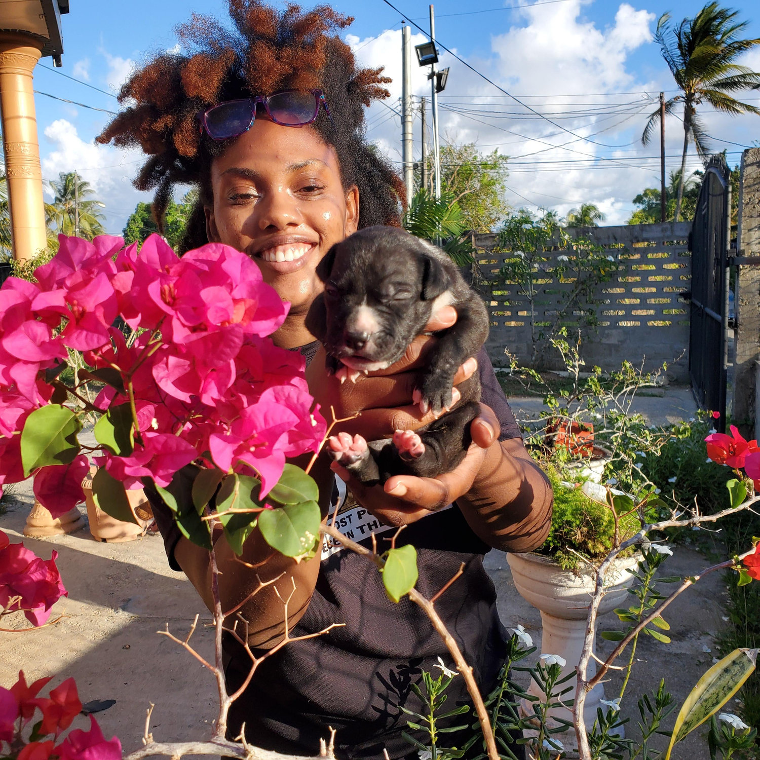 Our Connection Through Bella