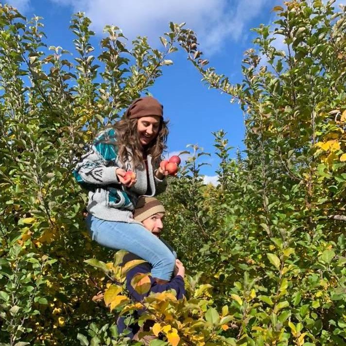 Apple picking upstate NY