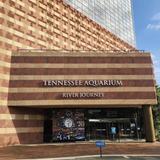 chattanooga aquarium