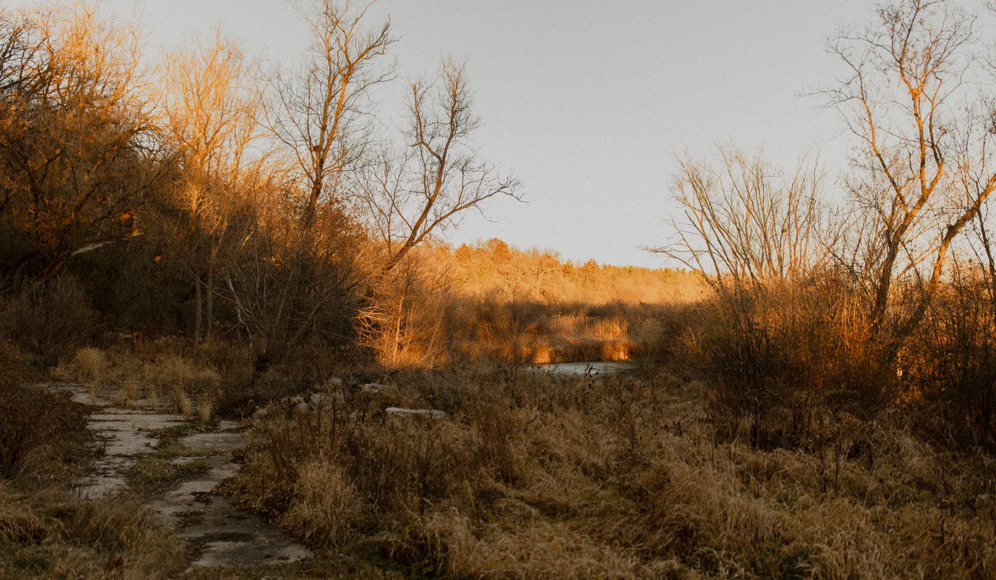 Hero Slideshow Image 2