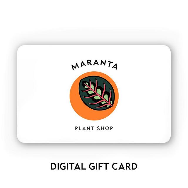 Maranta Gift Card