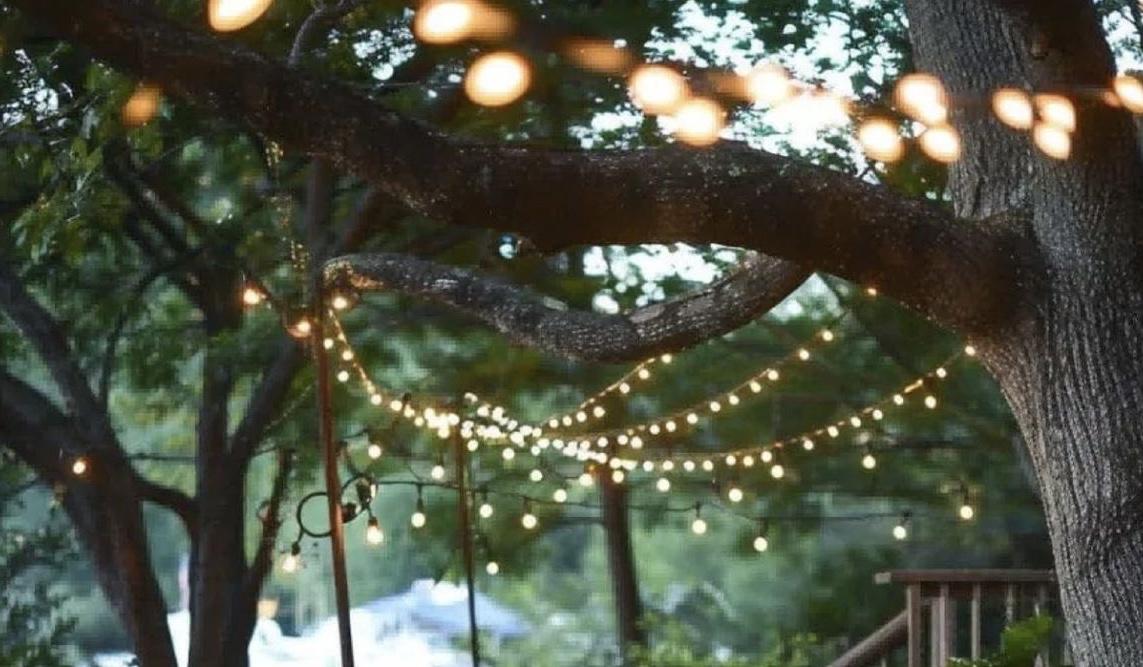 The Wedding Website of Kyra Mears and Shane Dunn